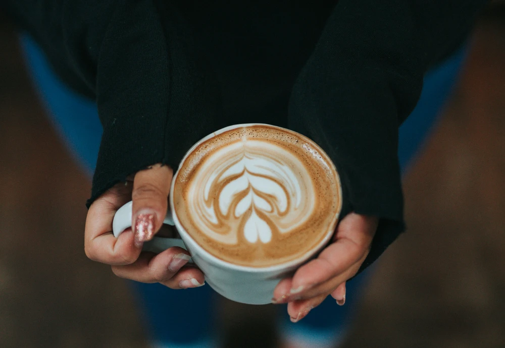 espresso machine and milk steamer