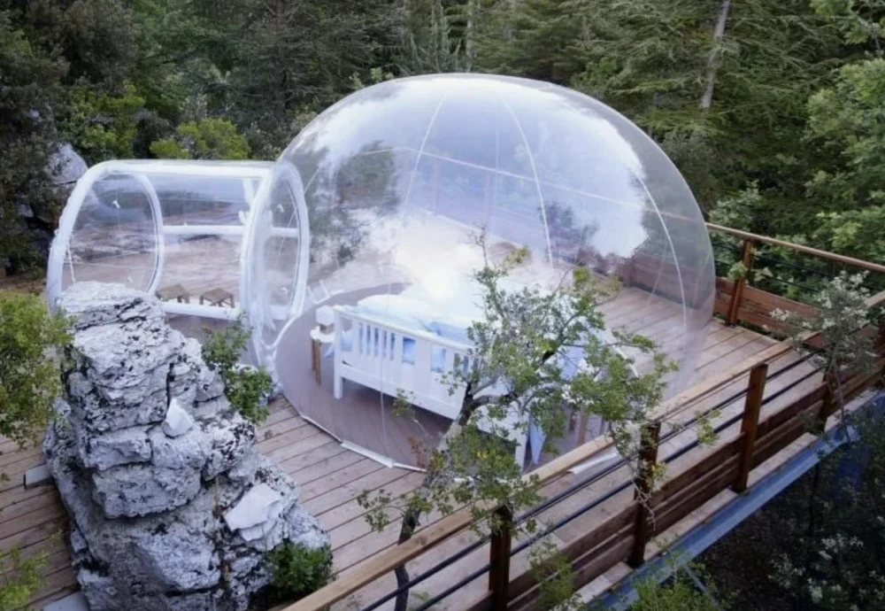 the bubble tent